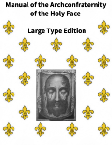 Home Cover image of the large type manual